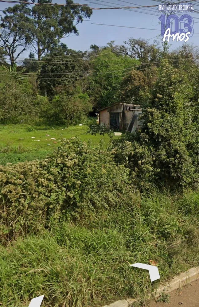 Terreno, 4 hectares - Foto 5