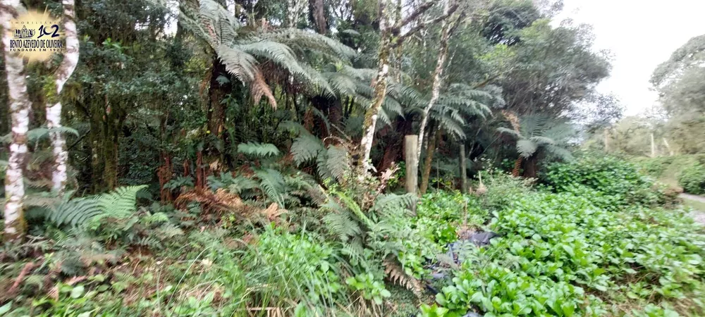 Terreno, 600 m² - Foto 6