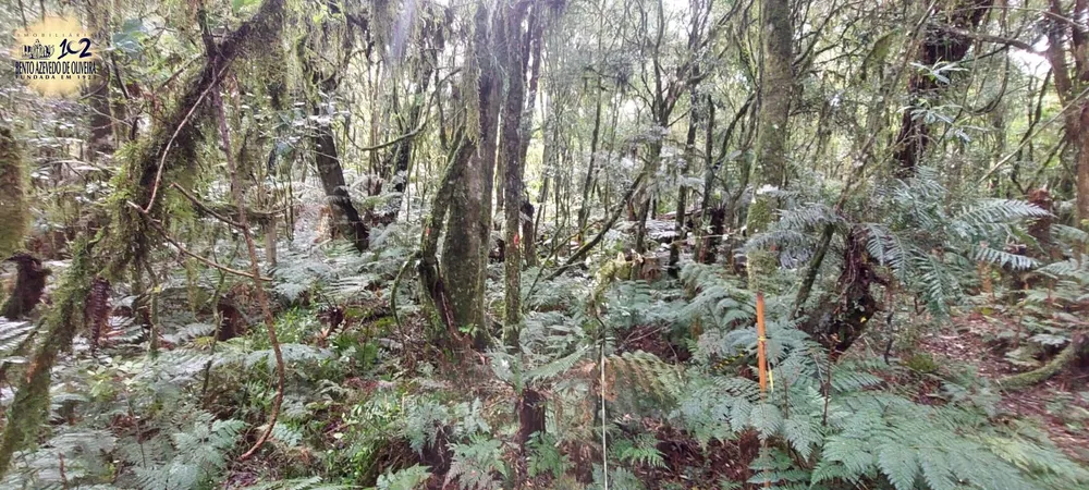 Terreno, 600 m² - Foto 8