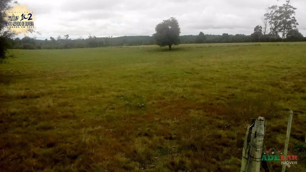 Sítio, 2 quartos, 10 hectares - Foto 6