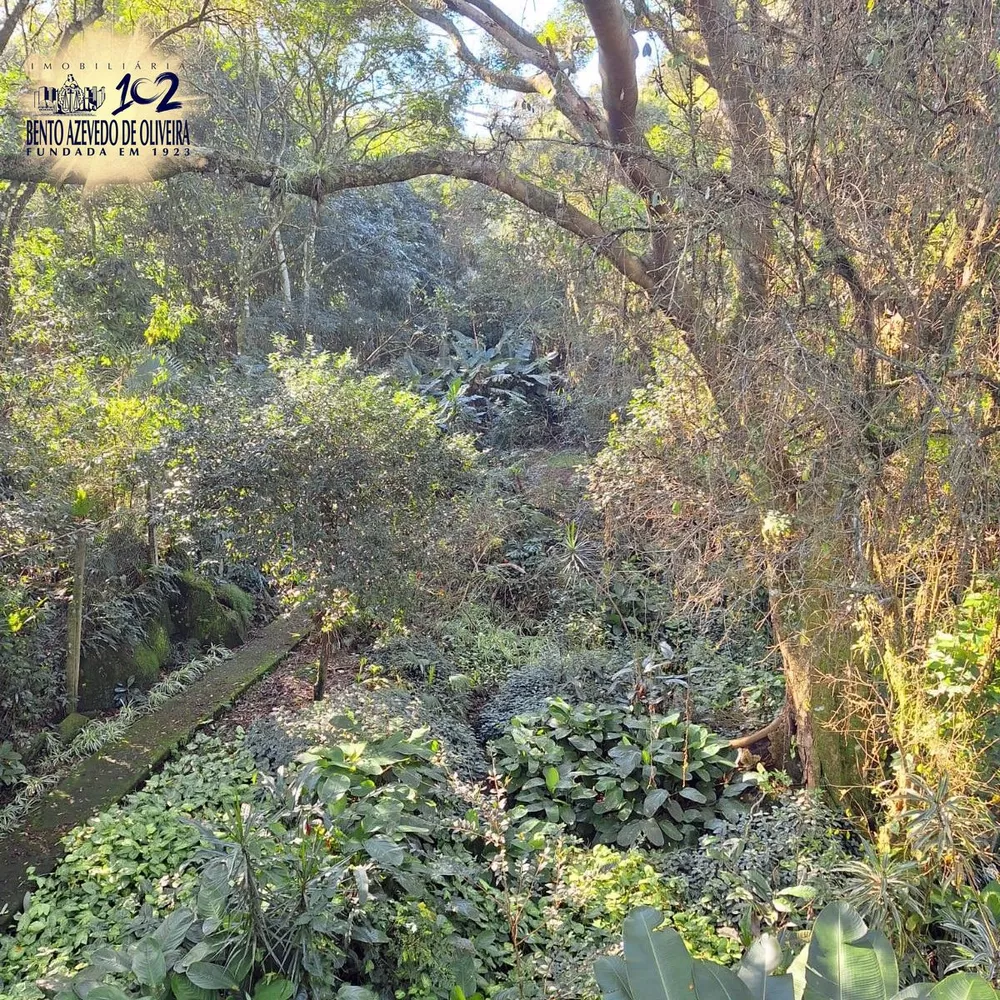 Chácara, 3 quartos, 2 hectares - Foto 7