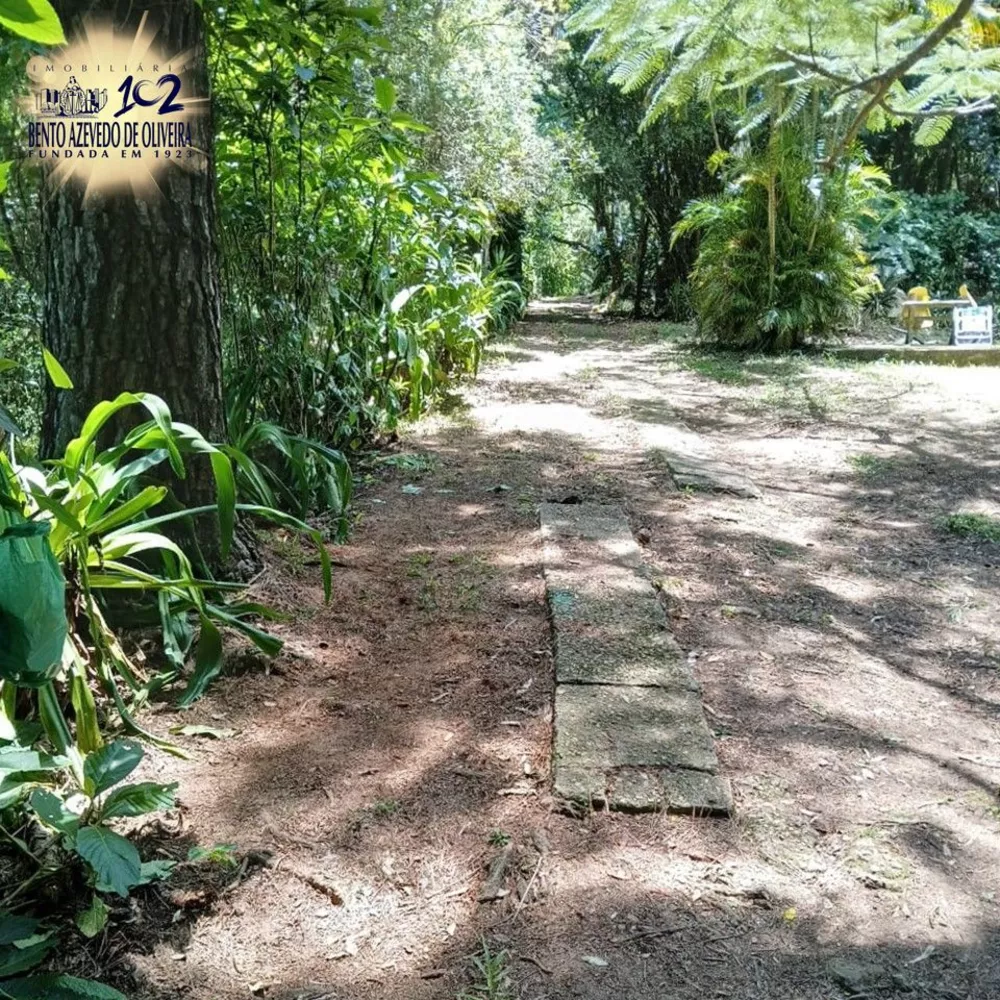 Chácara, 3 quartos, 2 hectares - Foto 6
