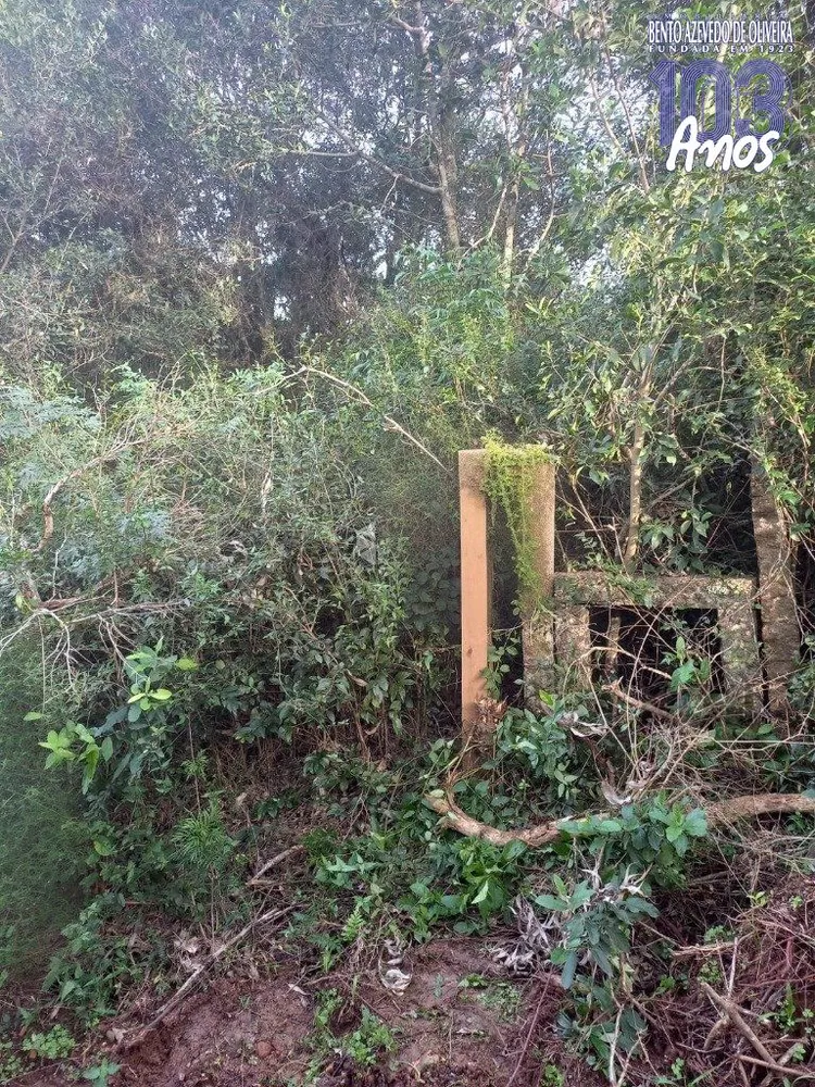 Terreno - Foto 2