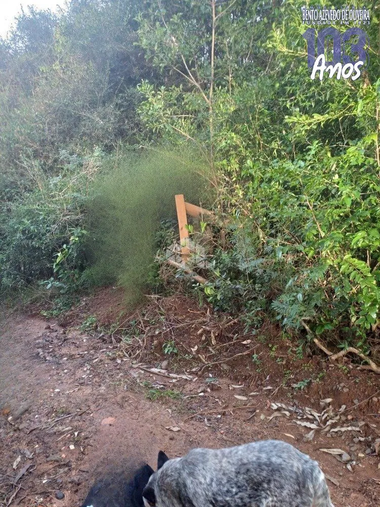 Terreno - Foto 6