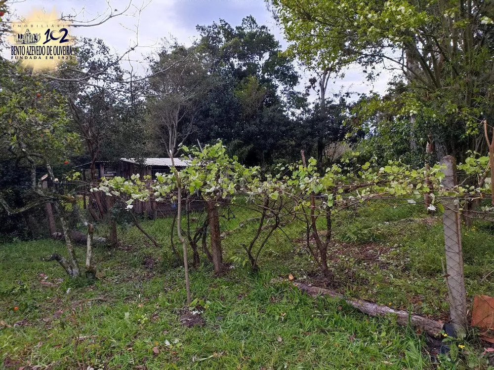 Chácara, 3 quartos, 3330 m² - Foto 8