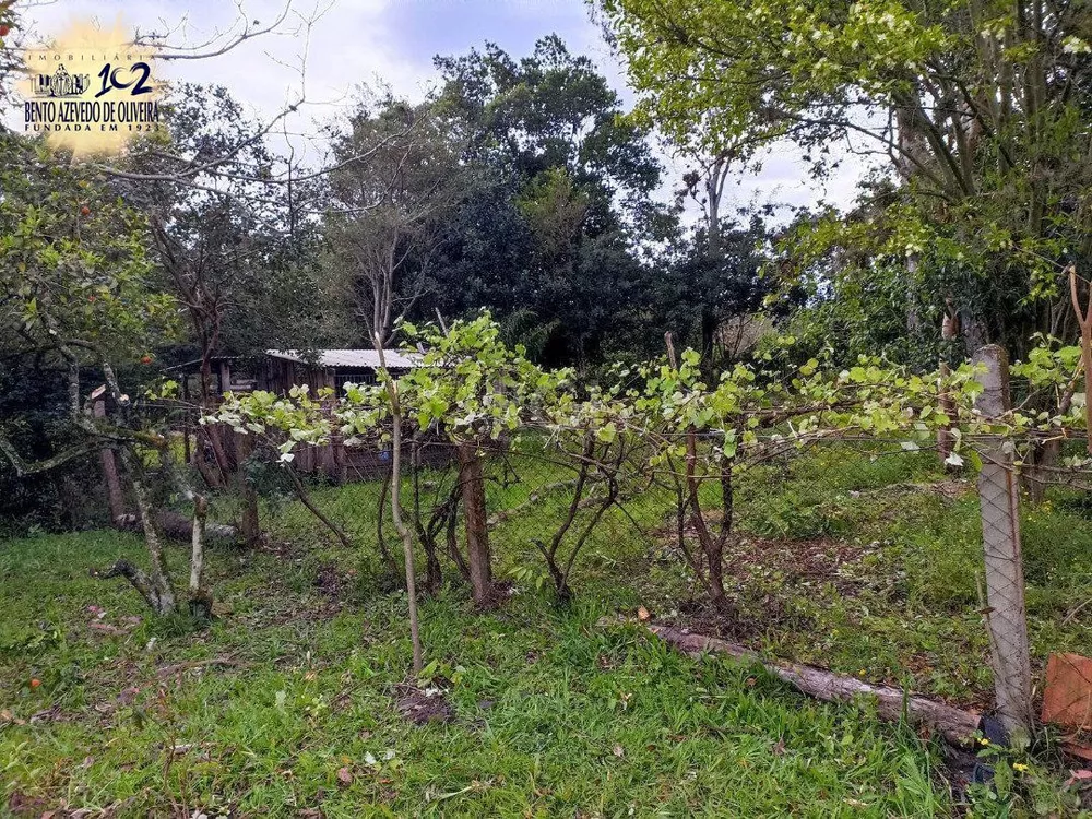 Chácara, 3 quartos, 3330 m² - Foto 7