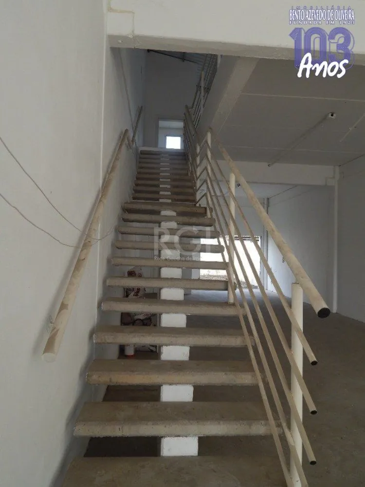 Casa, 5 quartos, 250 m² - Foto 4