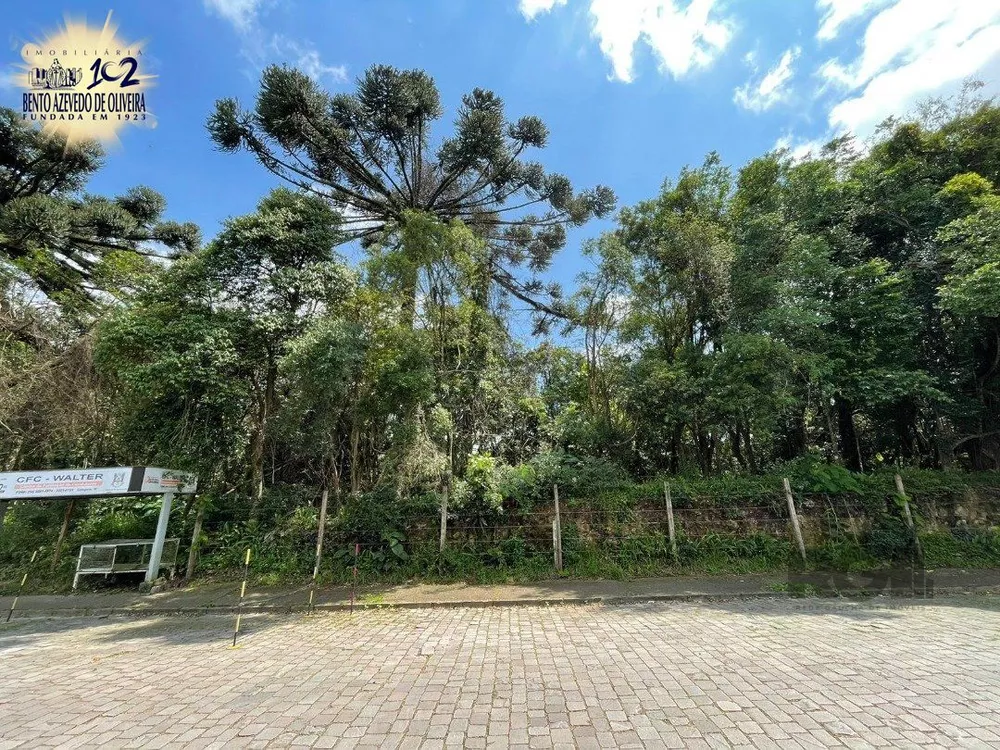 Terreno, 1 hectares - Foto 1