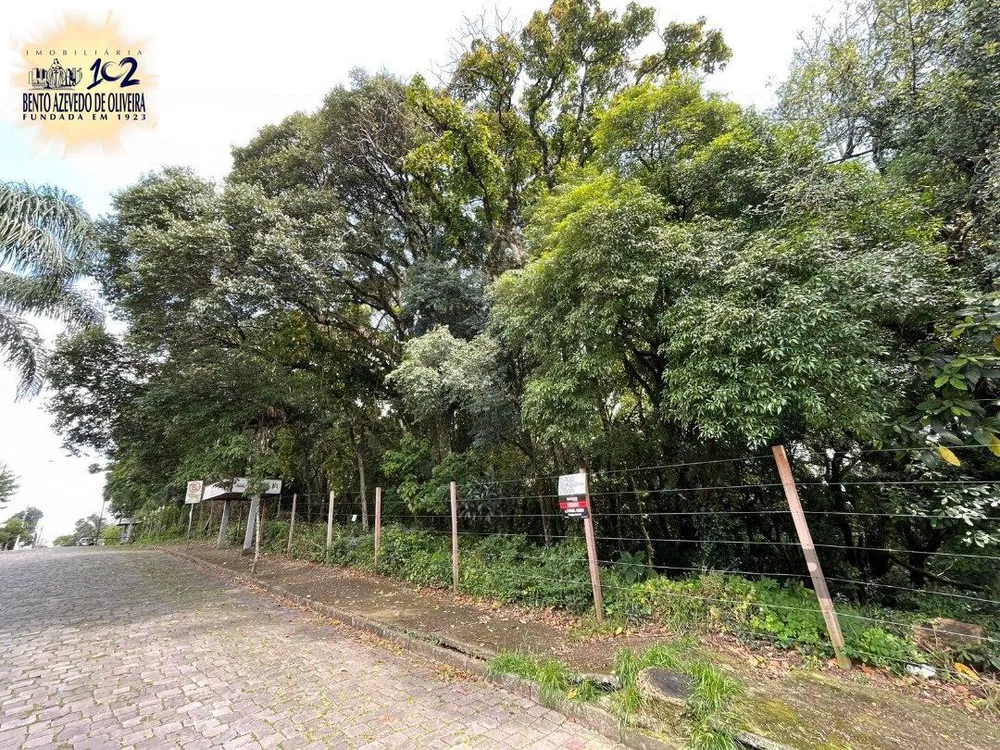 Terreno, 1 hectares - Foto 2