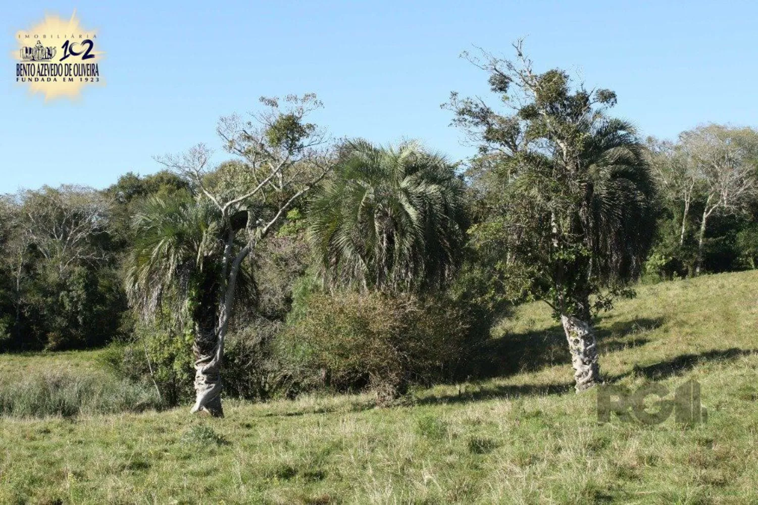 Casa, 3 quartos, 156 m² - Foto 4