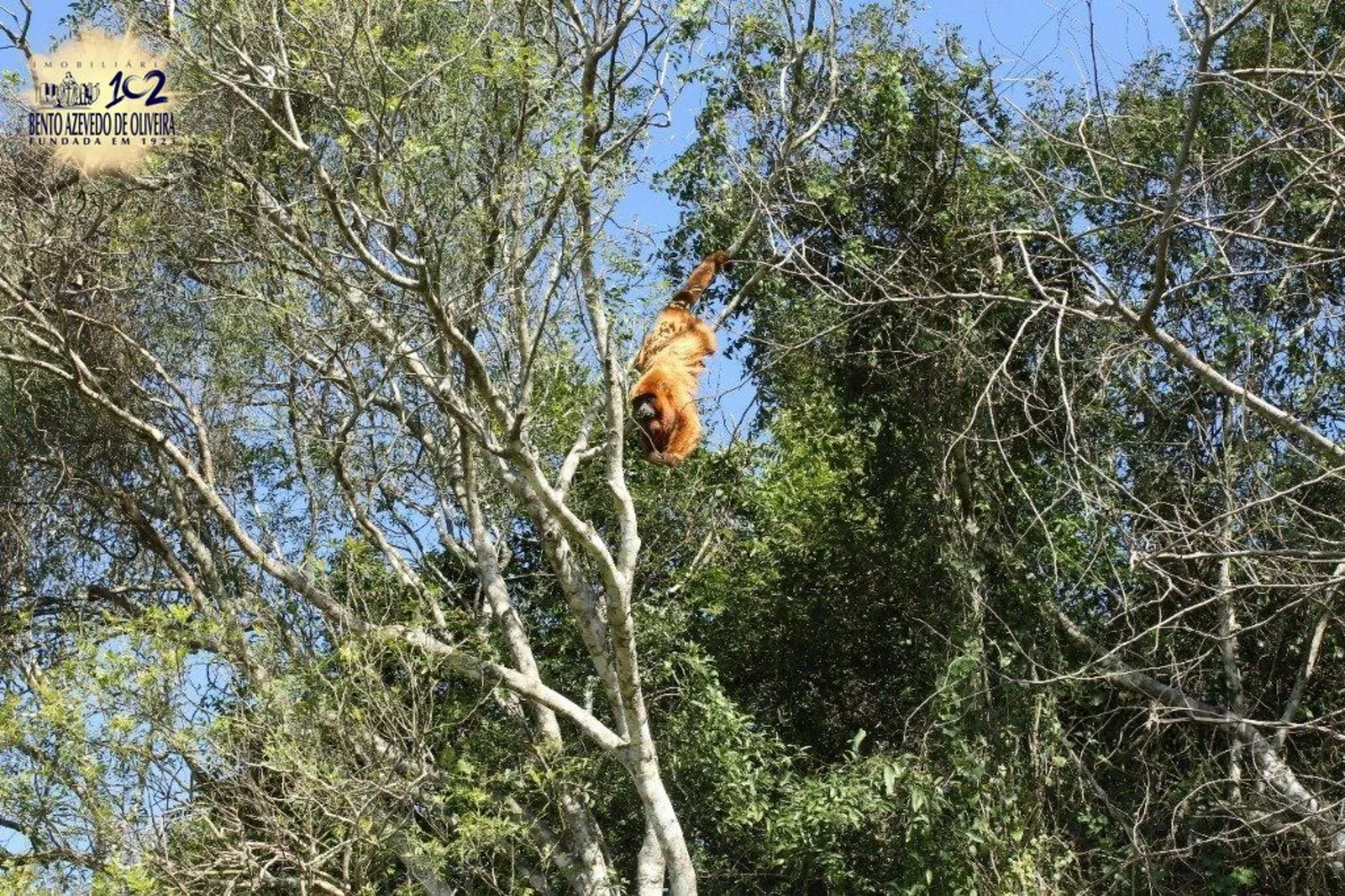 Casa, 3 quartos, 156 m² - Foto 3