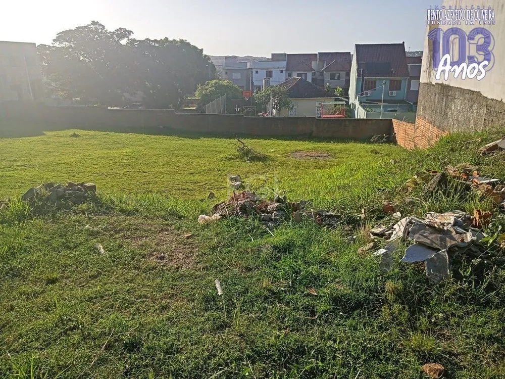 Casa, 4 quartos, 300 m² - Foto 4