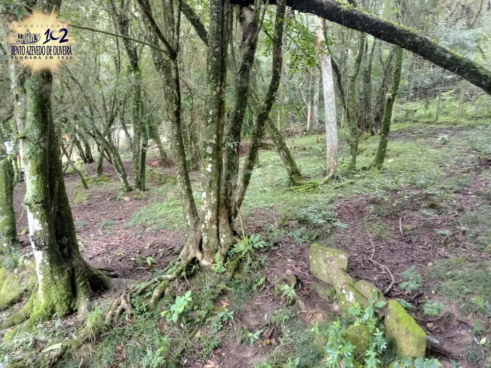 Chácara, 2 quartos, 1 hectares - Foto 4