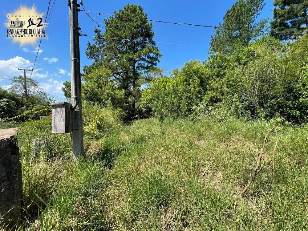 Terreno, 3000 m² - Foto 4