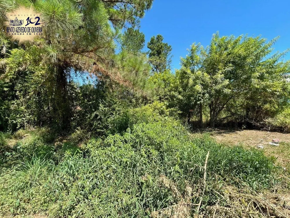 Terreno, 3000 m² - Foto 3
