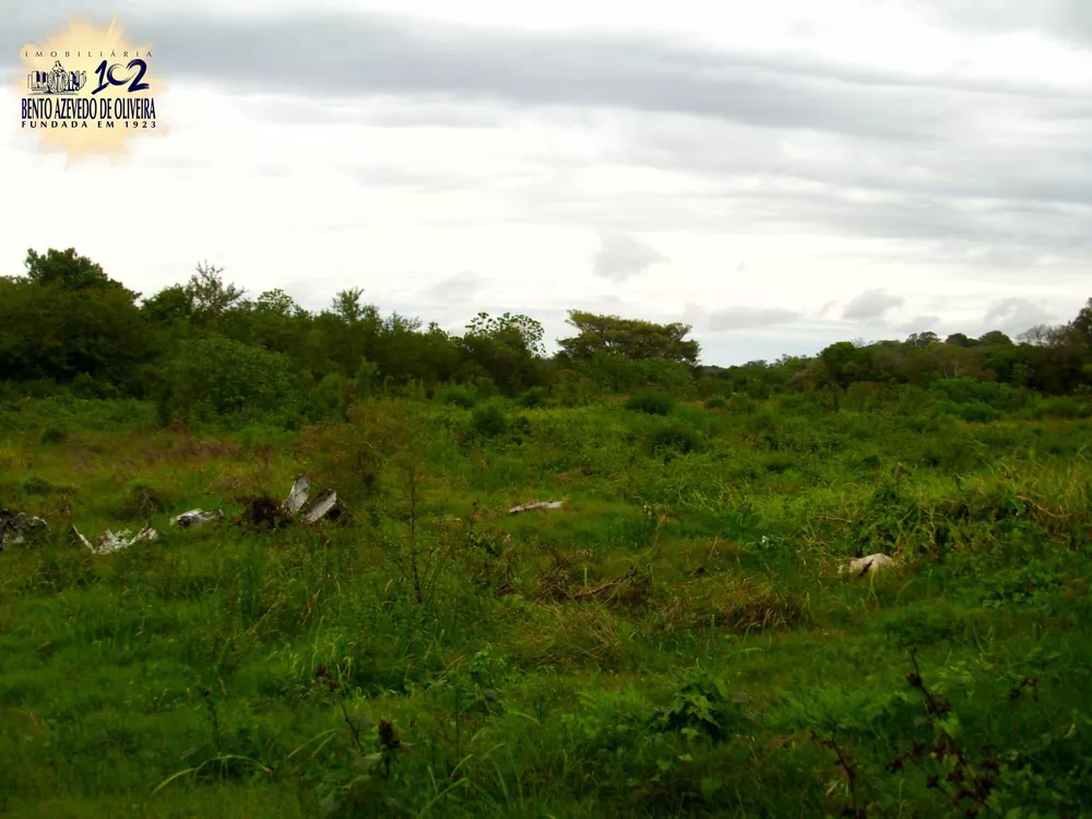 Chácara, 1 hectares - Foto 1