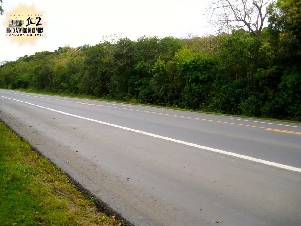 Chácara, 1 hectares - Foto 3