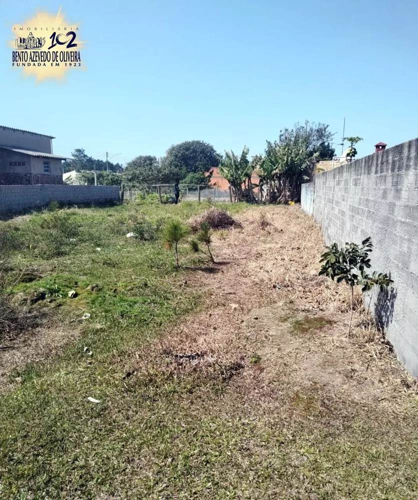 Terreno, 300 m² - Foto 5