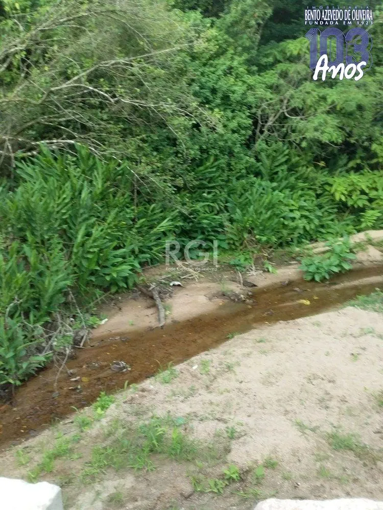 Terreno, 4 hectares - Foto 6