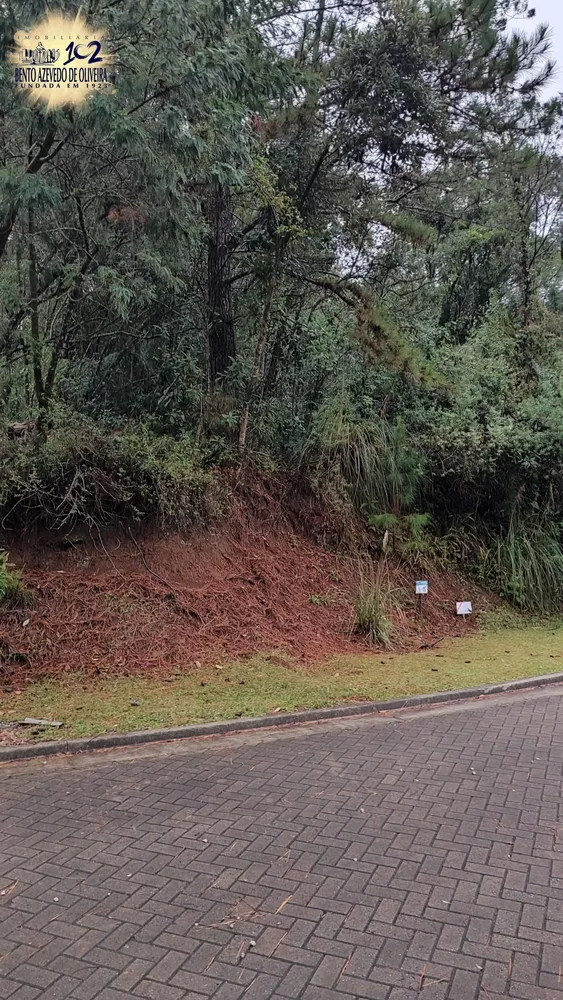 Terreno, 503 m² - Foto 8