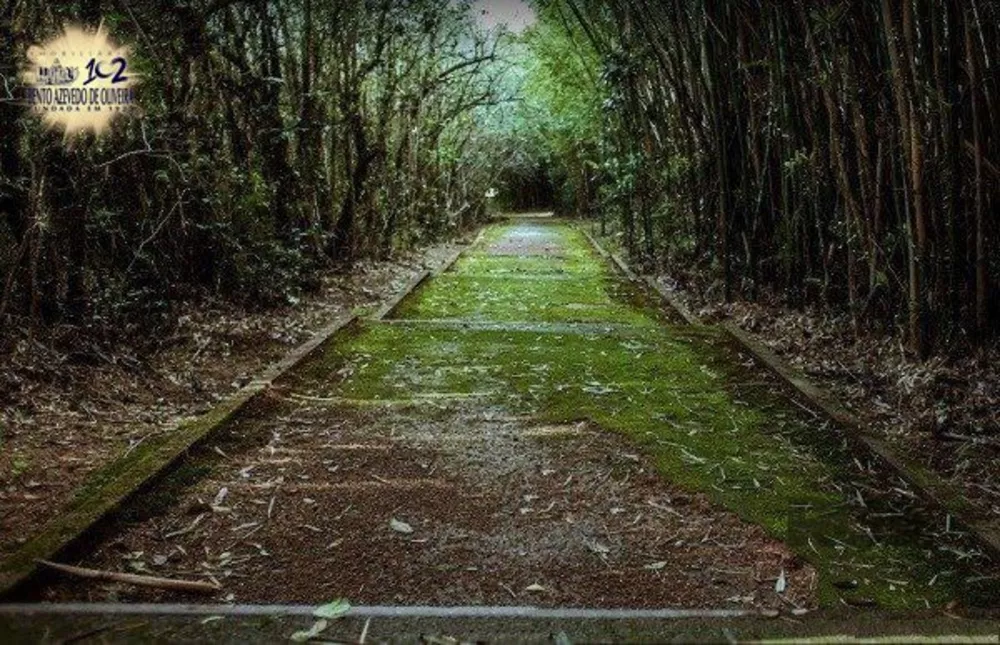 Terreno, 200 m² - Foto 8