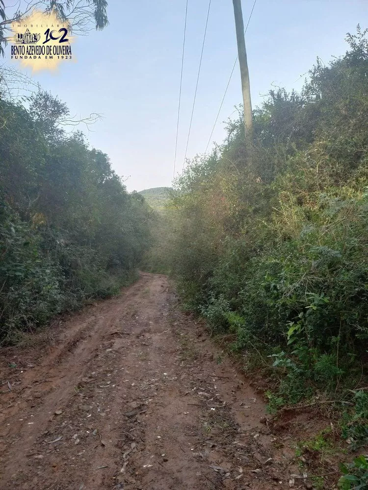 Terreno, 4770 m² - Foto 6