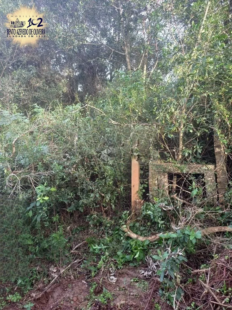 Terreno, 4770 m² - Foto 2