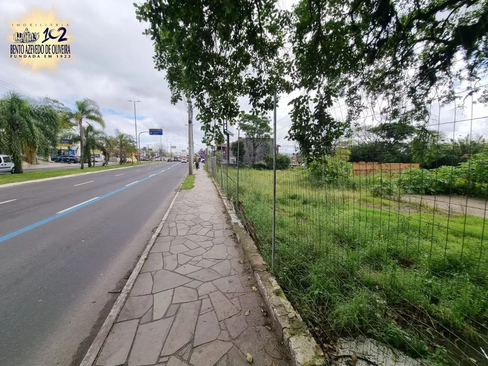 Terreno, 3778 m² - Foto 4