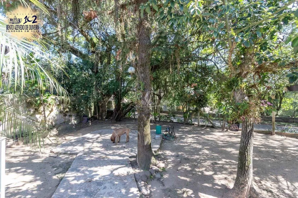 Casa, 3 quartos, 250 m² - Foto 4