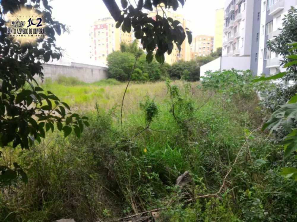 Terreno, 2452 m² - Foto 7