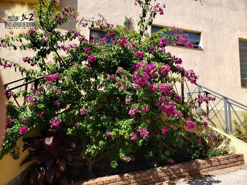 Casa, 3 quartos, 240 m² - Foto 4