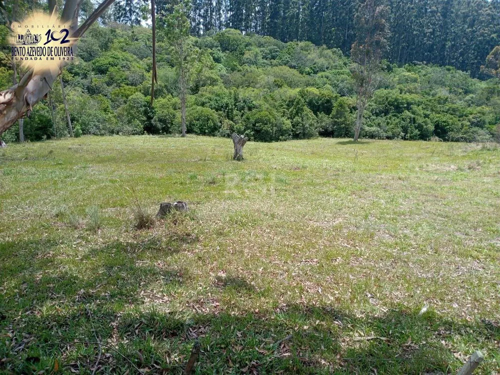 Chácara, 3 quartos, 12 hectares - Foto 3