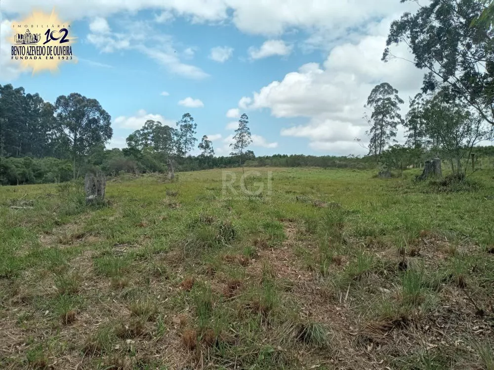 Chácara, 3 quartos, 12 hectares - Foto 6