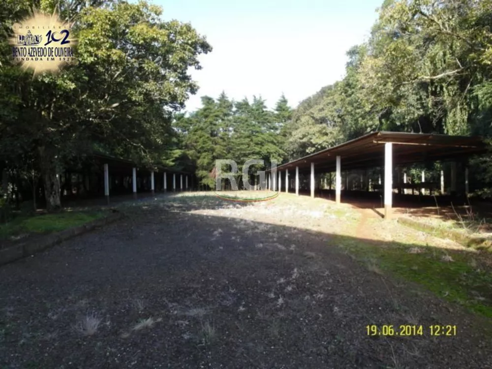 Terreno, 4 hectares - Foto 4