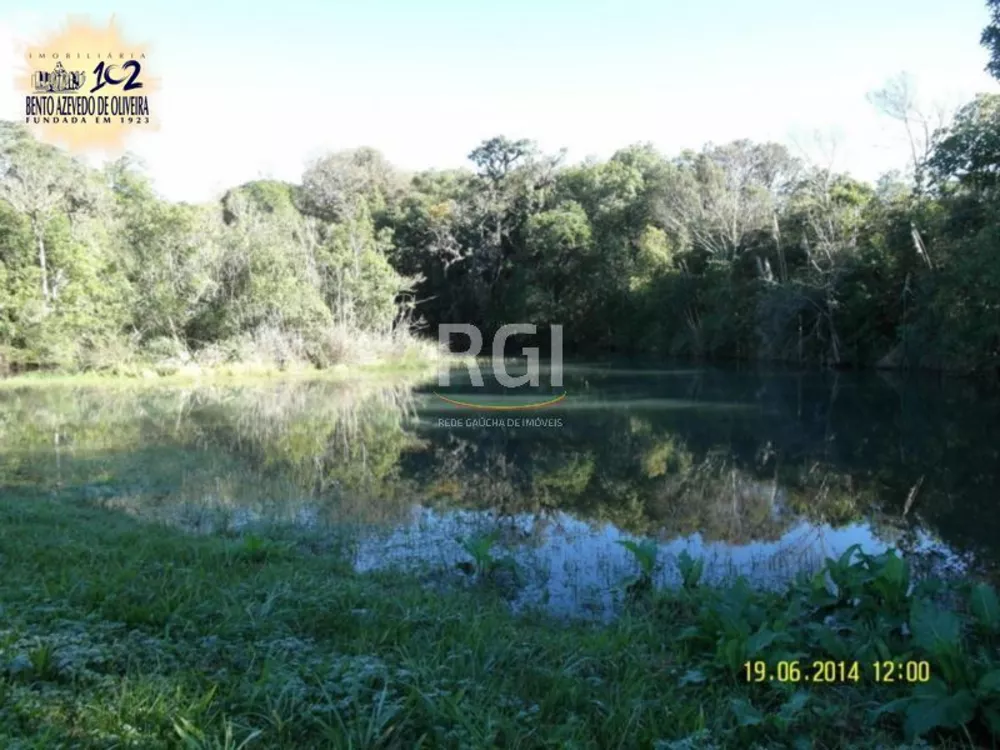 Terreno, 4 hectares - Foto 8