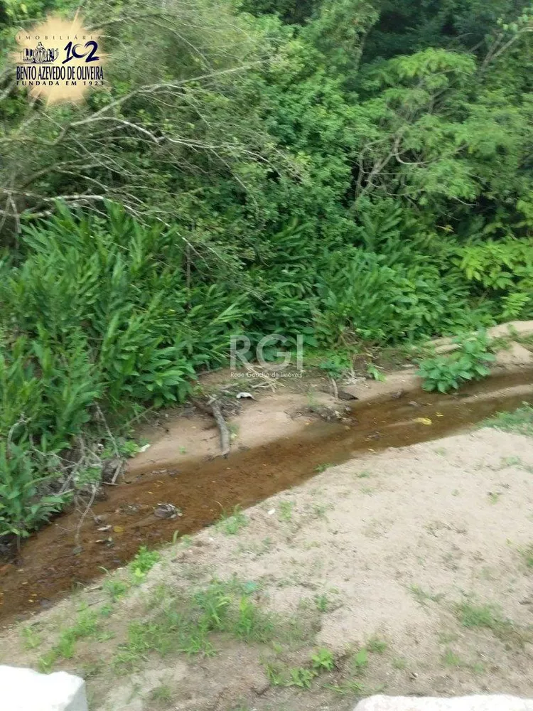 Terreno, 4 hectares - Foto 1