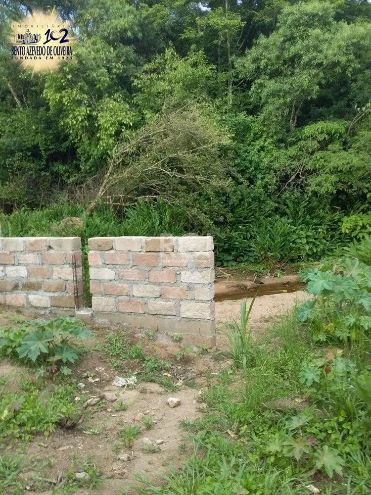 Terreno, 4 hectares - Foto 8