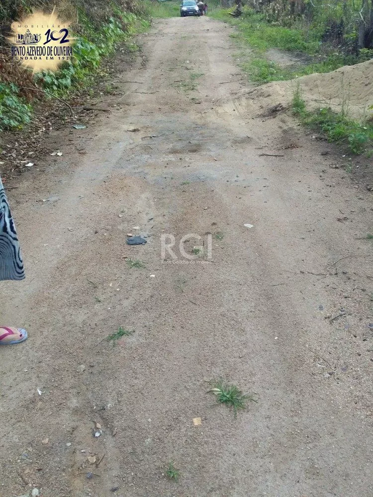 Terreno, 4 hectares - Foto 3