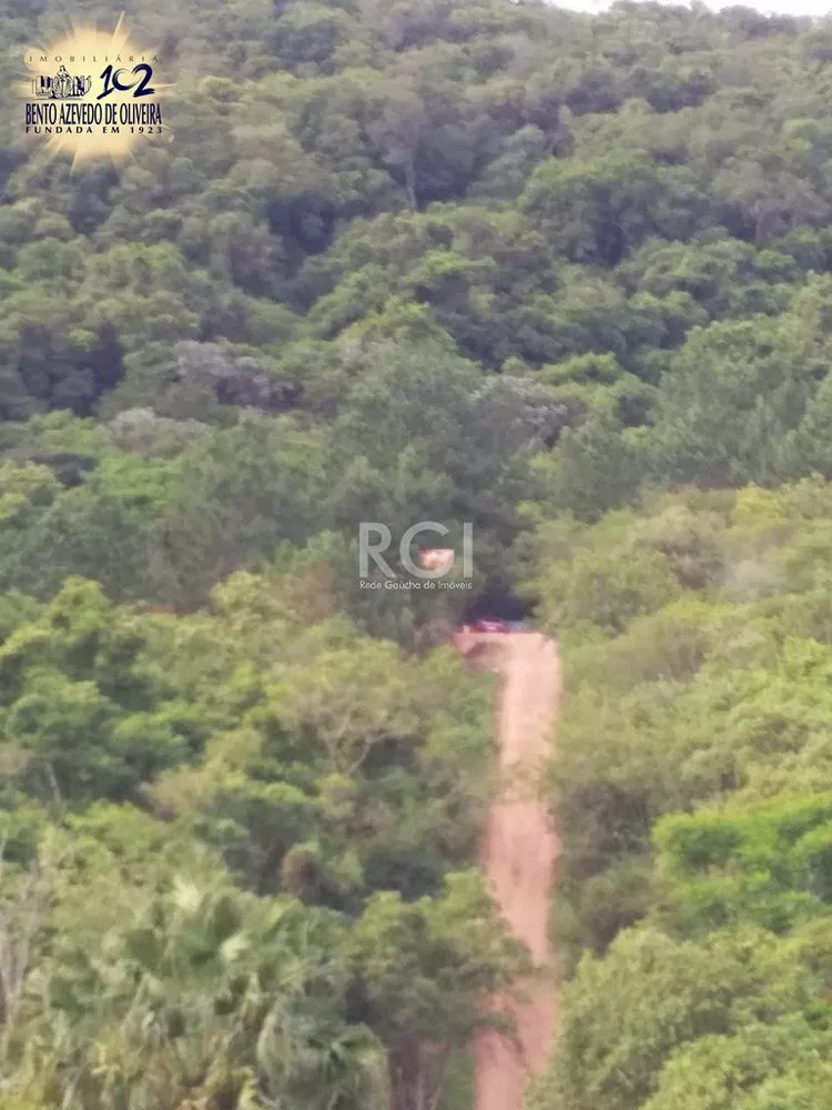 Terreno, 4 hectares - Foto 2