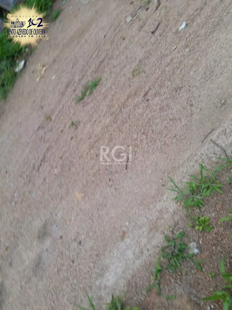 Terreno, 4 hectares - Foto 6