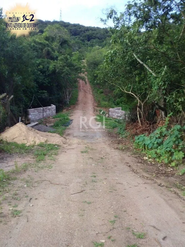 Terreno, 4 hectares - Foto 4