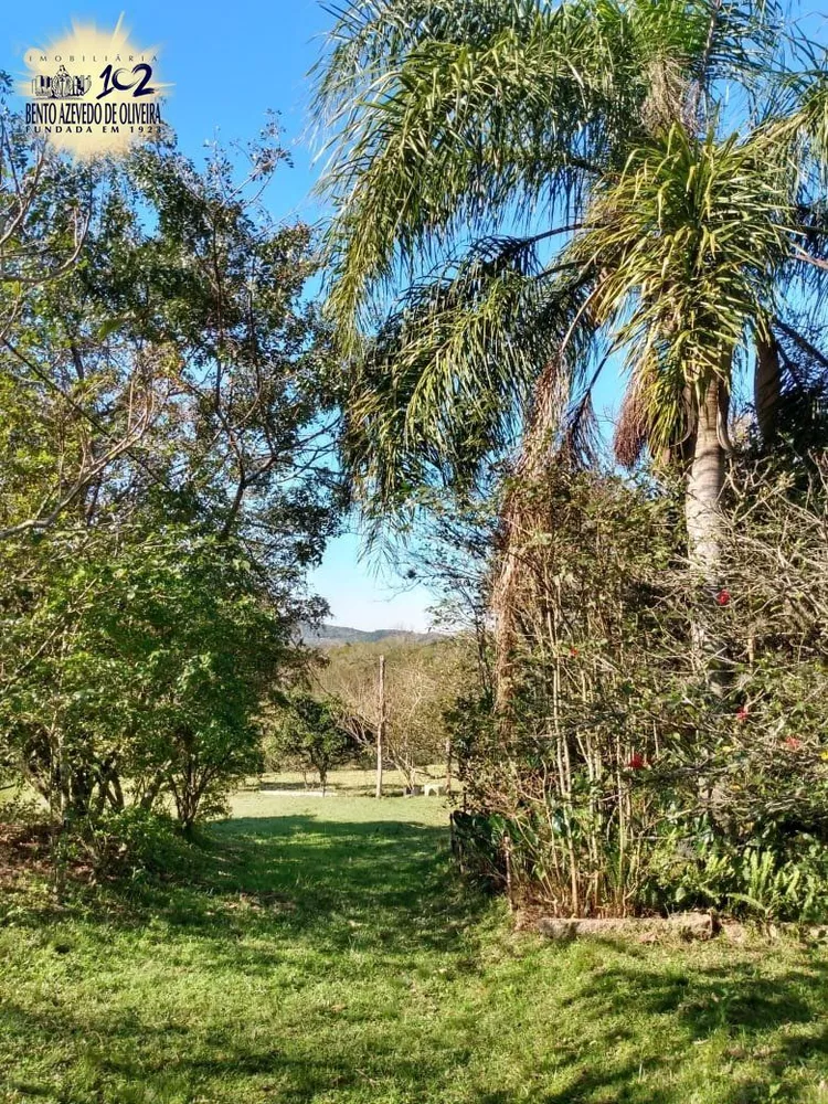 Terreno, 4 hectares - Foto 2