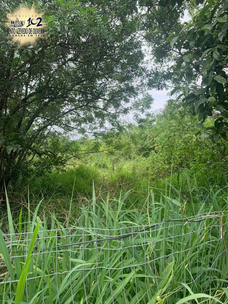 Terreno, 1002 m² - Foto 2