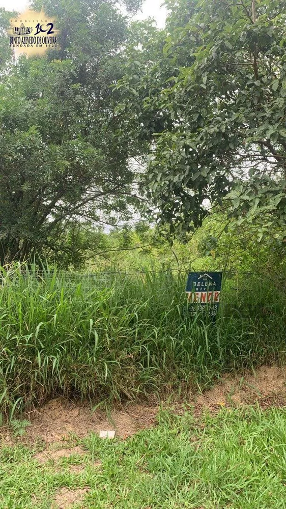 Terreno, 1002 m² - Foto 3