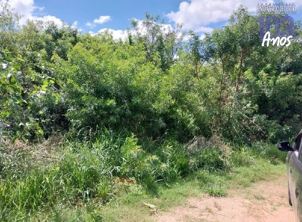 Terreno, 1000 m² - Foto 1