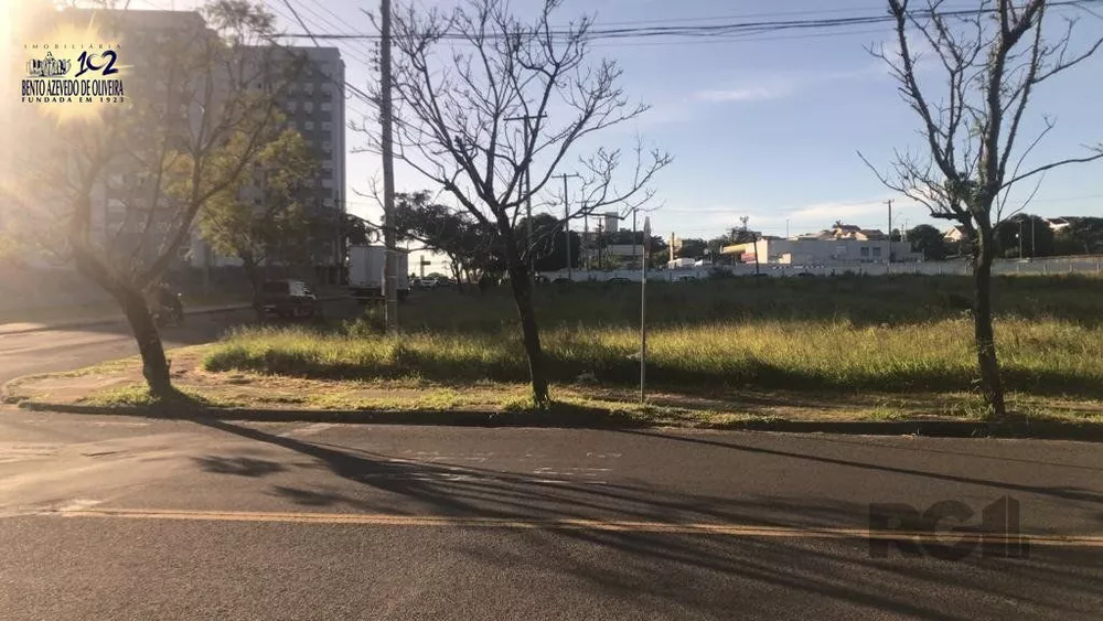 Terreno, 4704 m² - Foto 4