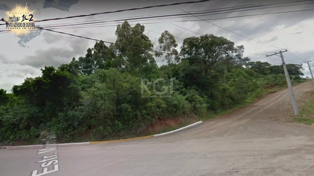 Terreno, 2 hectares - Foto 4