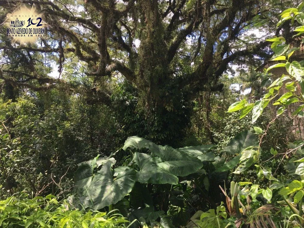 Terreno, 671 m² - Foto 5