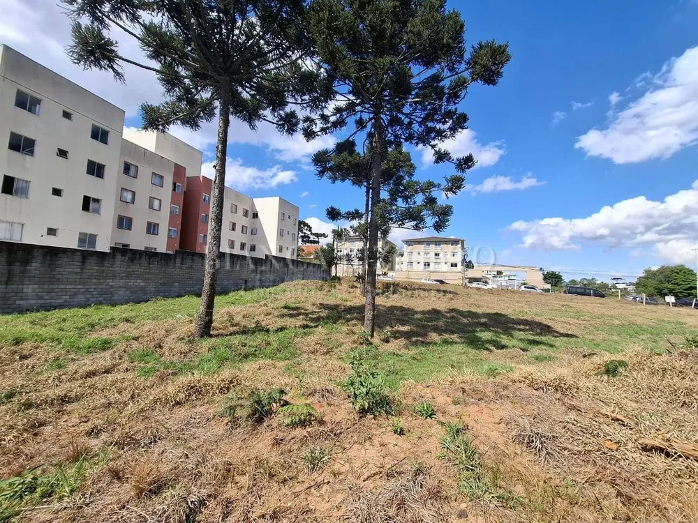 Terreno, 6000 m² - Foto 9