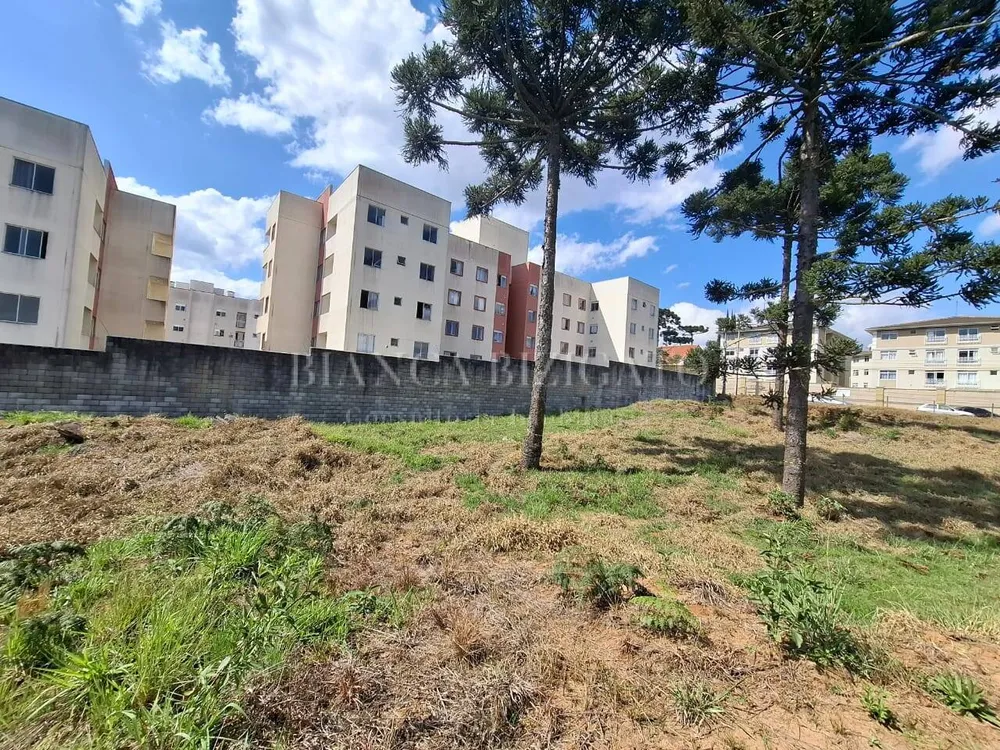 Terreno, 6000 m² - Foto 6